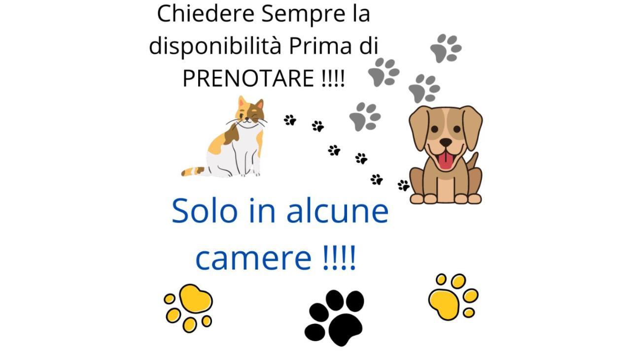 Terra Ciociara Bnb Frosinone Extérieur photo